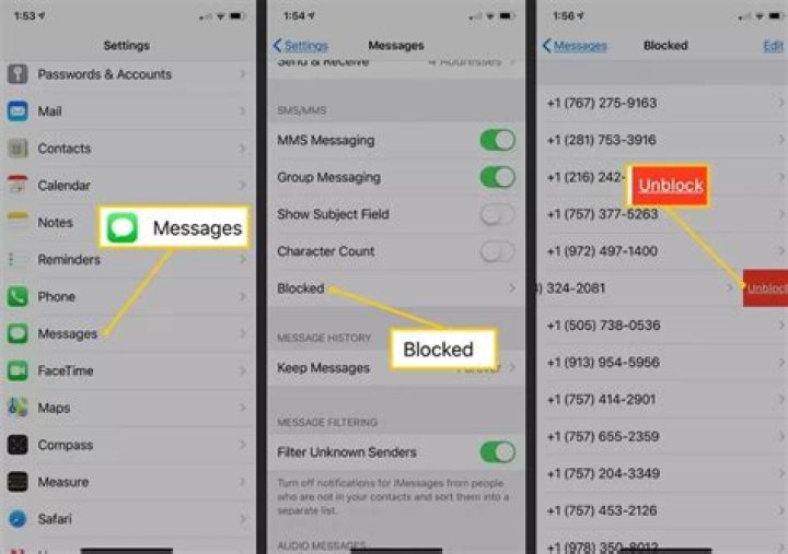 How do I unblock a plug-in on Apple?