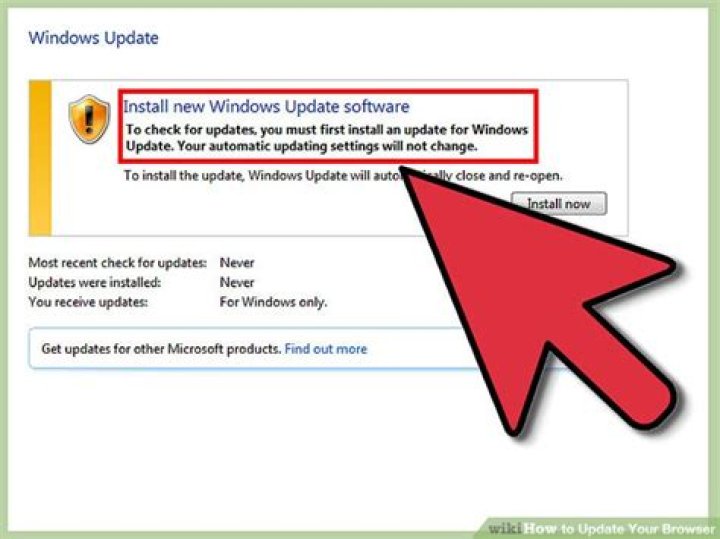 How do I update my browser on my Windows phone?