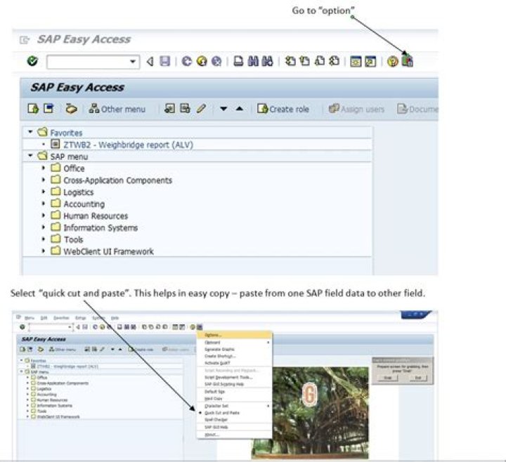 How do I use quick cut and paste in SAP?