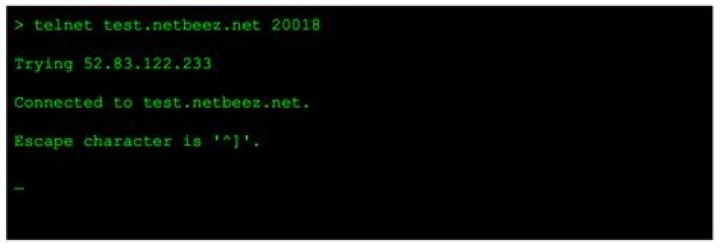 How do I use Telnet to test a port?