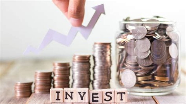 How do I verify an investment company?