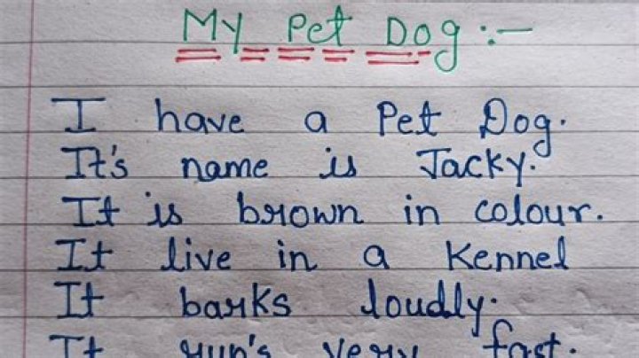 How do I write about my pet dog?