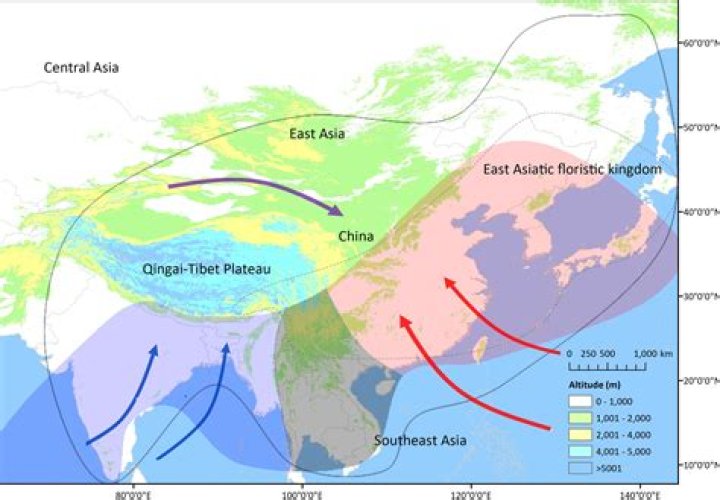 How do monsoons affect Bangladesh?