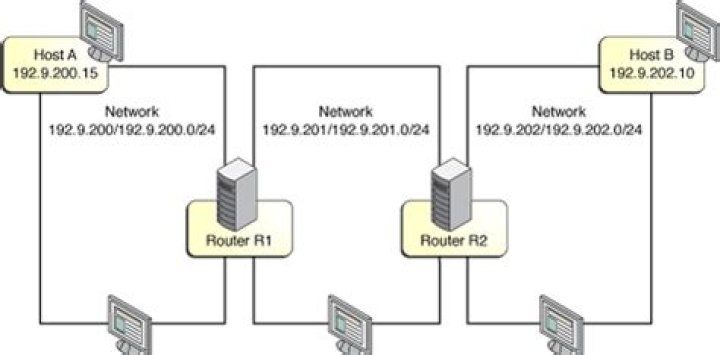 How do routers share routes?