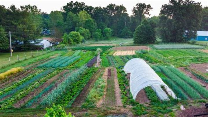 How do small farms help the economy?