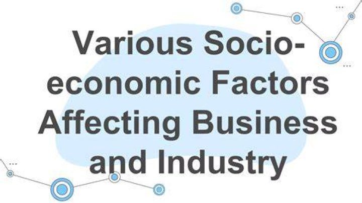 How do socio economic factors affect business?