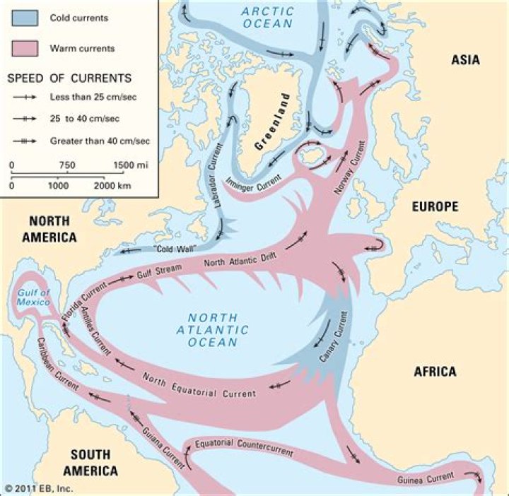 How do the currents flow in the Gulf of Mexico?