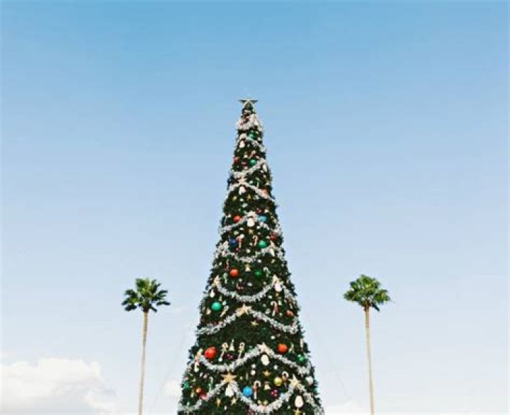 How do they celebrate Christmas in the Southern Hemisphere?