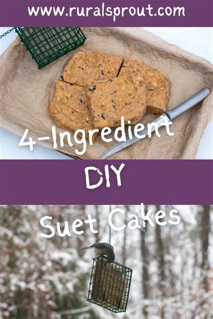 How do you attract birds to suet cakes?