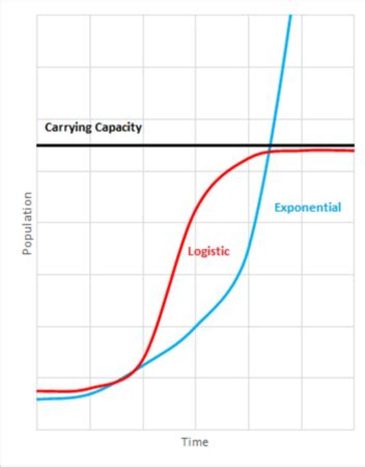How do you calculate carrying capacity in logistic growth?
