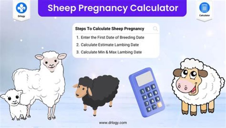 How do you calculate gestation of a cow?