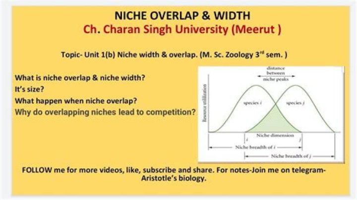 How do you calculate niche overlap?