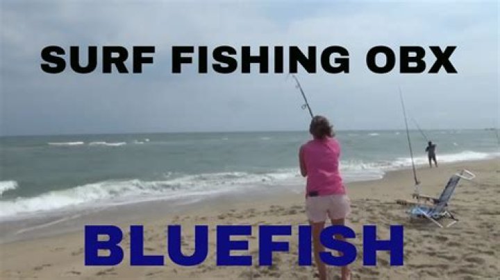 How do you catch bluefish in the Outer Banks?