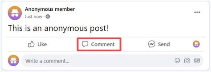 How do you comment anonymously on Blogger?
