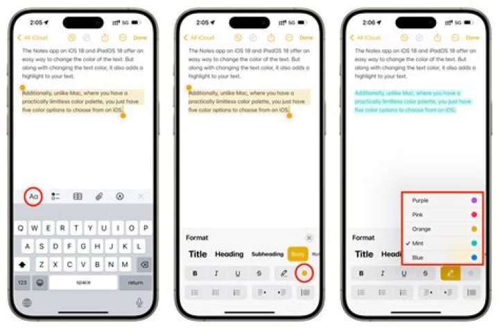 How do you customize notes on iPad?