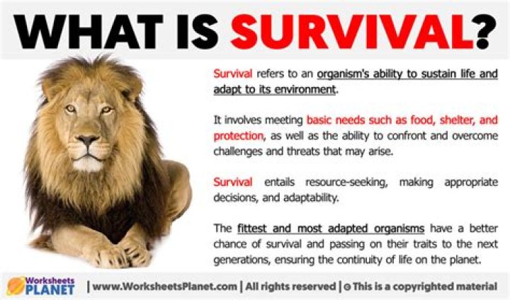 How do you define survival rate?