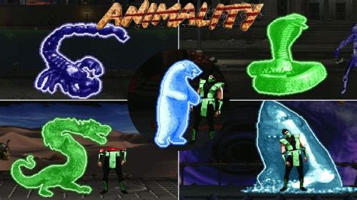 How do you do animality in mk3?