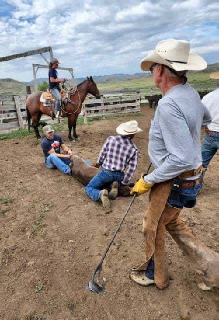 How do you get a job as a ranch hand?