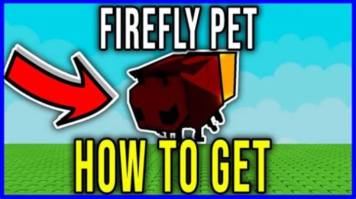 How do you get a pet firefly on Animal Jam?