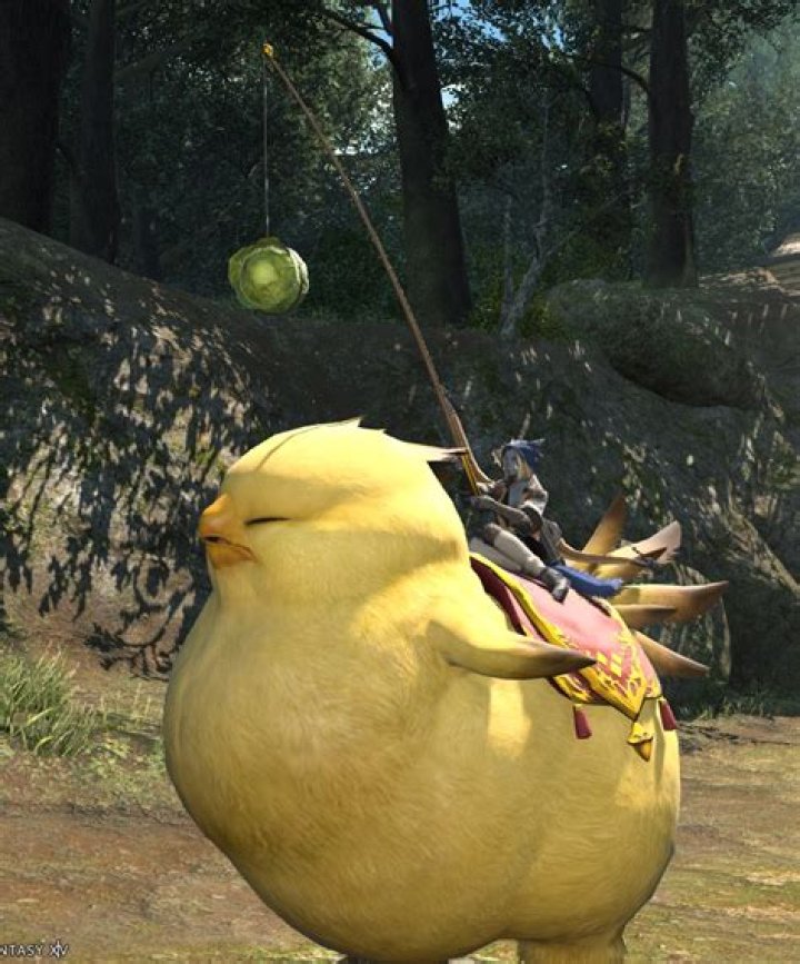 How Do You Get Fat Chocobo minion?