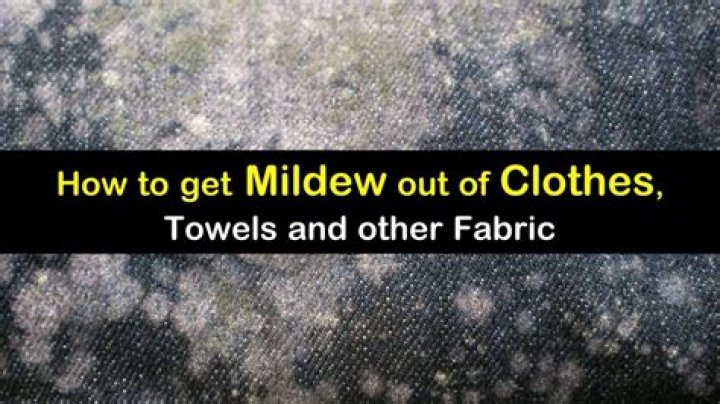How do you get mildew out of fabric furniture?