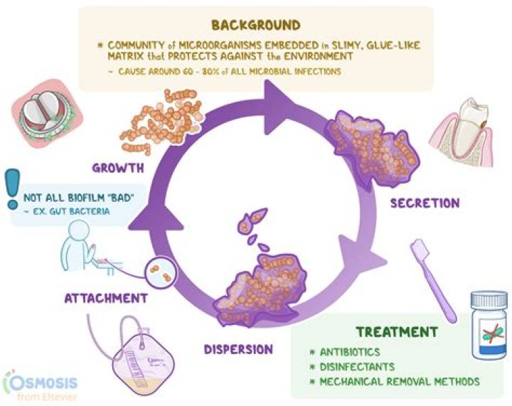 How do you get rid of bacterial biofilms?