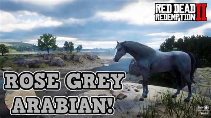 How do you get the rose gray Arabian horse in Red Dead Redemption?