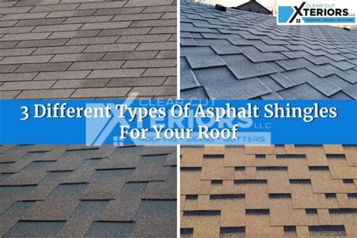 How do you identify shingles oak?