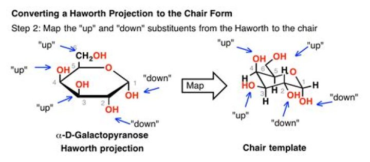 How do you know if a Haworth projection is Alpha or Beta?