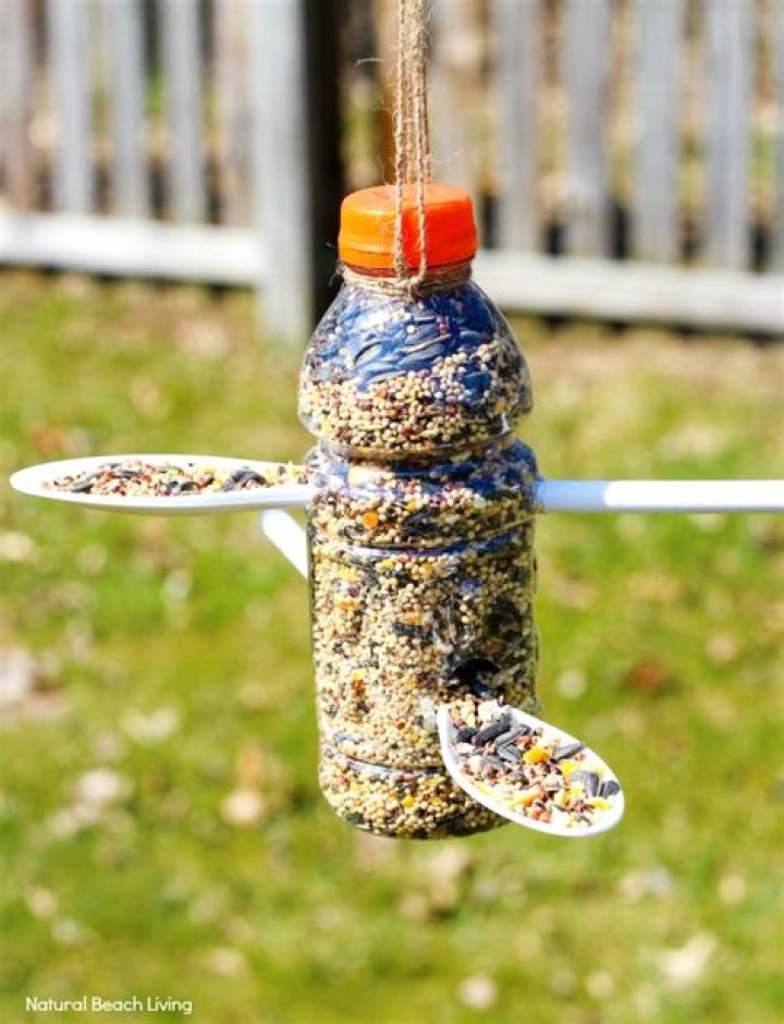 How do you make a bird feeder out of natural materials?