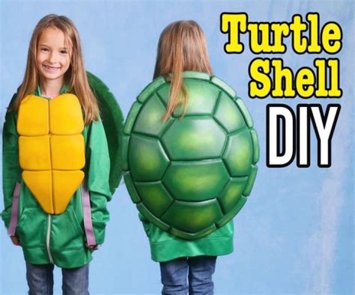 How do you make a turtle shell?