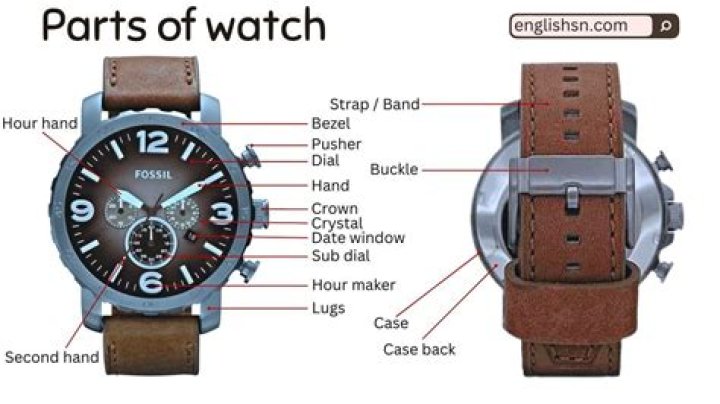 How do you make a watch in Illustrator?