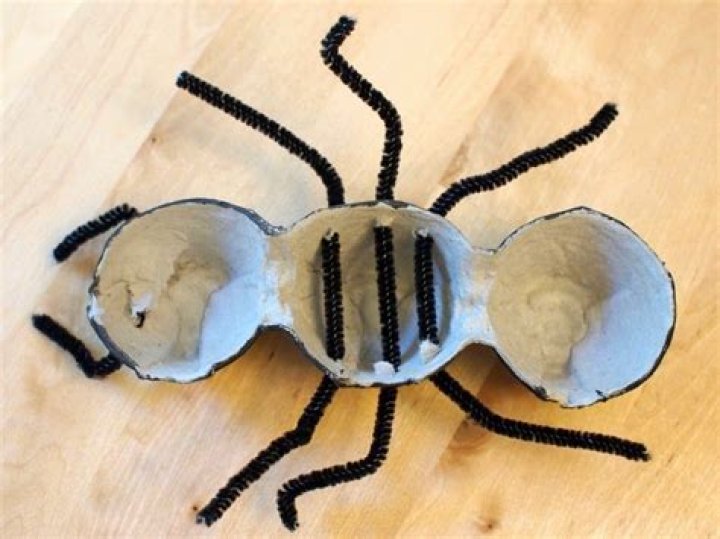 How do you make ants out of egg cartons?
