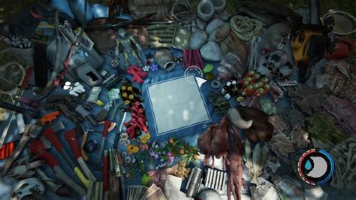 How do you open your inventory in the forest?