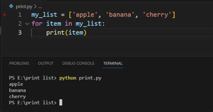 How do you print an item from a list in Python?