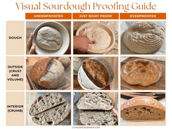 How do you proof dough without a proofer?