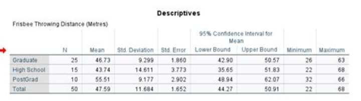 How do you reference in SPSS?