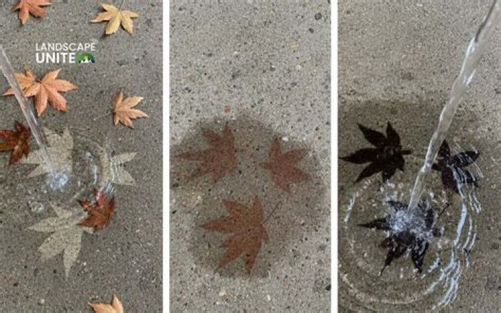 How do you remove leaf stains from concrete?