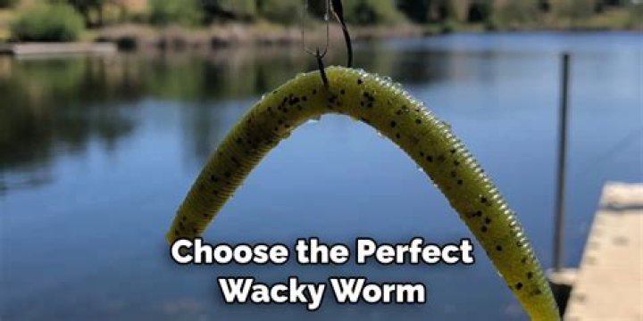 How do you retrieve a wacky worm?