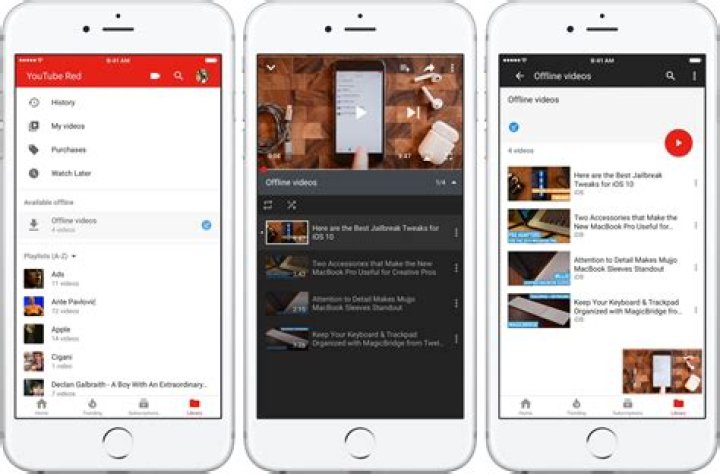 How do you save YouTube videos offline to gallery?