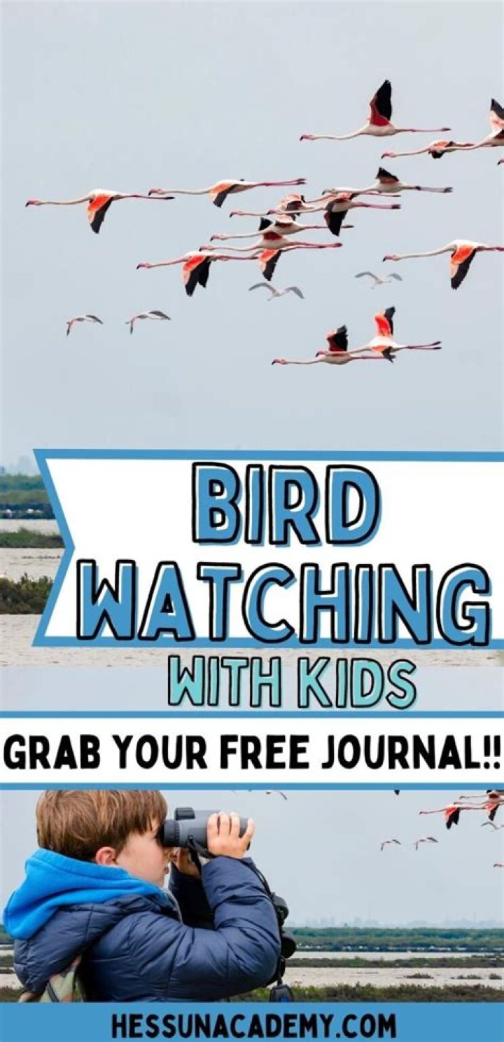 How do you start bird watching with kids?