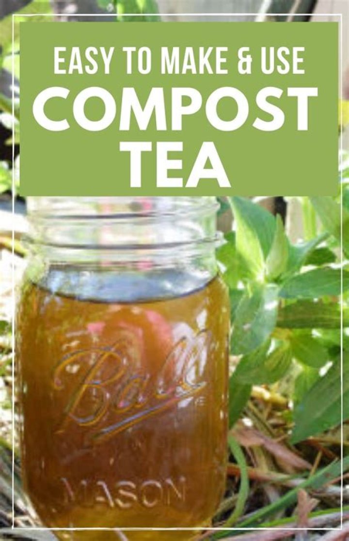 How do you strain compost tea?