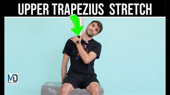 How do you stretch your trapezius?