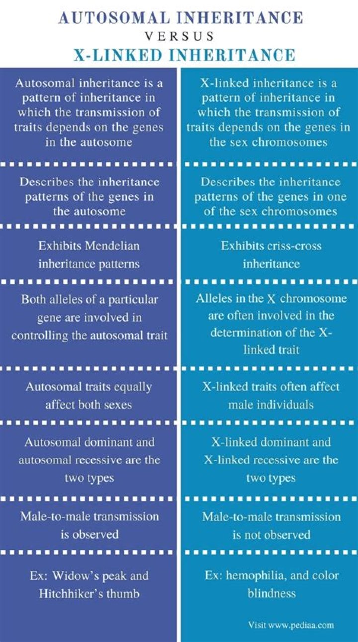 How do you tell the difference between autosomal and X-linked?