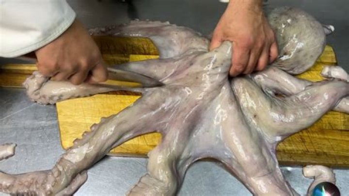 How do you tenderize frozen octopus?