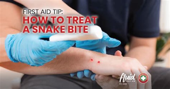 How do you treat a snake bite in water?