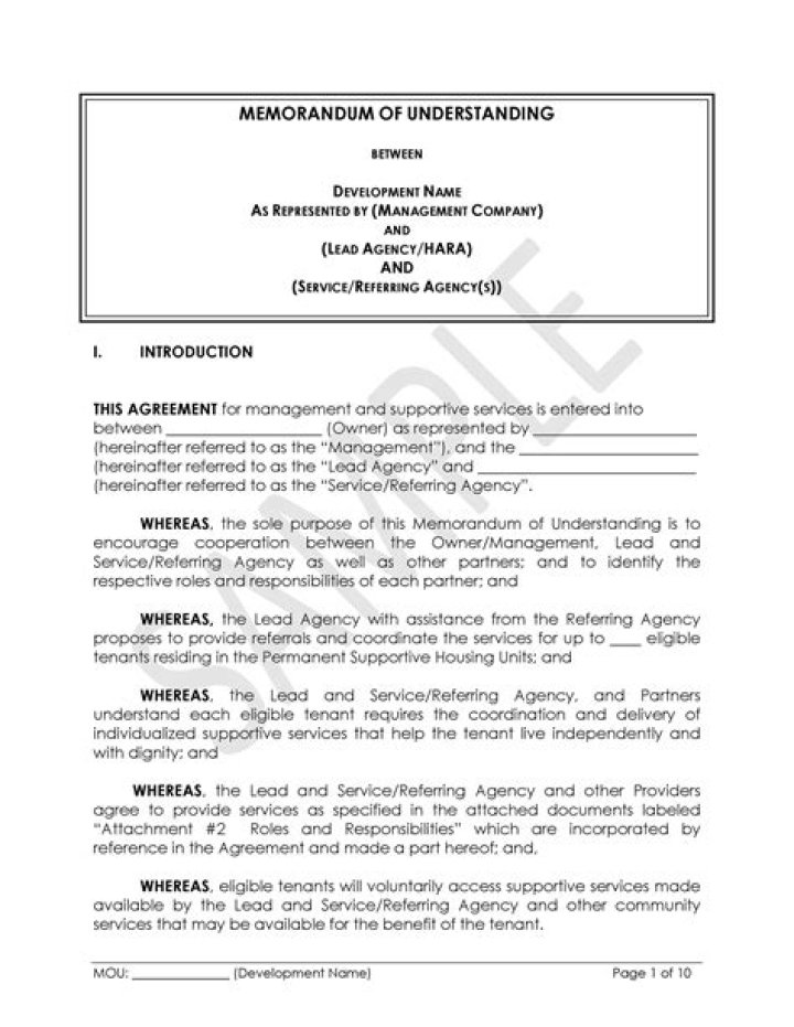 How do you write a MOU memorandum of understanding?
