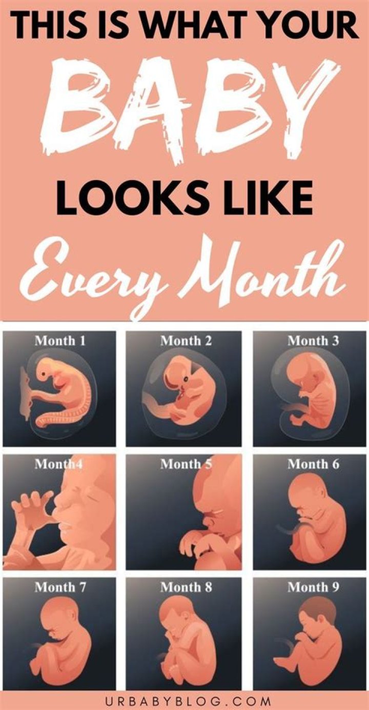 How does a baby look at 1 month?