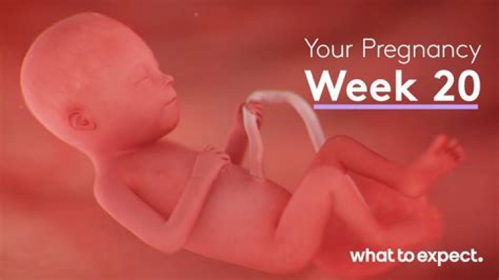 How does a baby move in the womb at 20 weeks?
