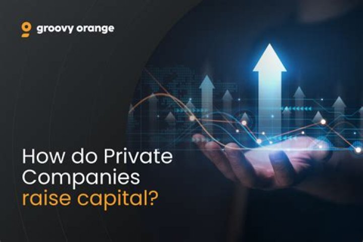 How does a company raise capital?